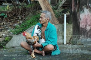 Man & Rooster 104  6 wm.jpg